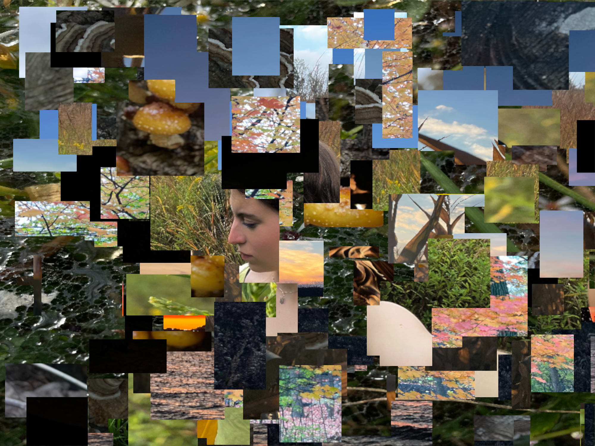 Self portrait abstraction